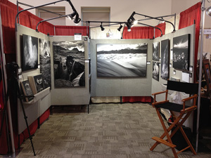Art Shows Art Shows